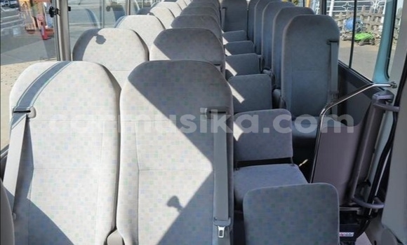 Acheter Occasion Voiture Toyota Coaster Blanc à Beitbridge, Matabeleland South Acheter Occasion Voiture Toyota Coaster Blanc à Beitbridge, Matabeleland South