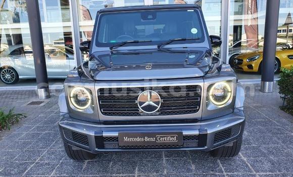 Tenga Tsaru Mercedes‒Benz G-klasse Sirivha Mota in Beitbridge in Matabeleland South Tenga Tsaru Mercedes‒Benz G-klasse Sirivha Mota in Beitbridge in Matabeleland South