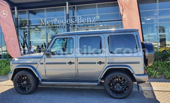Tenga Tsaru Mercedes‒Benz G-klasse Sirivha Mota in Beitbridge in Matabeleland South Tenga Tsaru Mercedes‒Benz G-klasse Sirivha Mota in Beitbridge in Matabeleland South