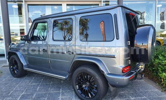 Tenga Tsaru Mercedes‒Benz G-klasse Sirivha Mota in Beitbridge in Matabeleland South Tenga Tsaru Mercedes‒Benz G-klasse Sirivha Mota in Beitbridge in Matabeleland South