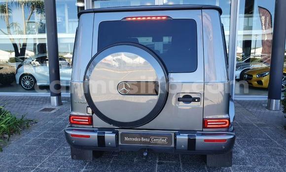 Tenga Tsaru Mercedes‒Benz G-klasse Sirivha Mota in Beitbridge in Matabeleland South Tenga Tsaru Mercedes‒Benz G-klasse Sirivha Mota in Beitbridge in Matabeleland South