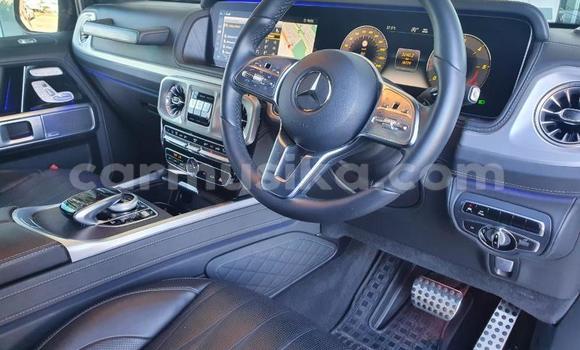Tenga Tsaru Mercedes‒Benz G-klasse Sirivha Mota in Beitbridge in Matabeleland South Tenga Tsaru Mercedes‒Benz G-klasse Sirivha Mota in Beitbridge in Matabeleland South