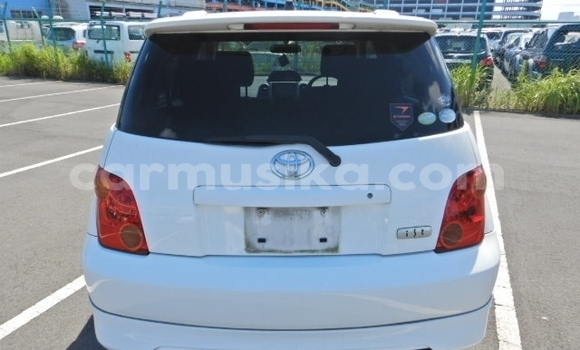 Acheter Occasion Voiture Toyota IST Blanc à Beitbridge, Matabeleland South Acheter Occasion Voiture Toyota IST Blanc à Beitbridge, Matabeleland South