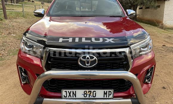 Acheter Occasion Voiture Toyota Hilux Rouge à Beitbridge, Matabeleland South Acheter Occasion Voiture Toyota Hilux Rouge à Beitbridge, Matabeleland South