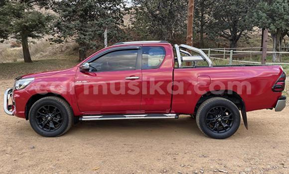Acheter Occasion Voiture Toyota Hilux Rouge à Beitbridge, Matabeleland South Acheter Occasion Voiture Toyota Hilux Rouge à Beitbridge, Matabeleland South
