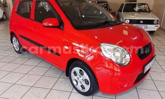 Tenga Tsaru Kia Picanto Tsvuku Mota in Beitbridge in Matabeleland South