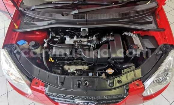 Nunua Ilio tumika Kia Picanto Nyekundu Gari ndani ya Beitbridge nchini Matabeleland Kusini Nunua Ilio tumika Kia Picanto Nyekundu Gari ndani ya Beitbridge nchini Matabeleland Kusini