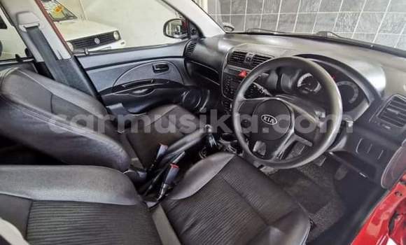 Nunua Ilio tumika Kia Picanto Nyekundu Gari ndani ya Beitbridge nchini Matabeleland Kusini Nunua Ilio tumika Kia Picanto Nyekundu Gari ndani ya Beitbridge nchini Matabeleland Kusini