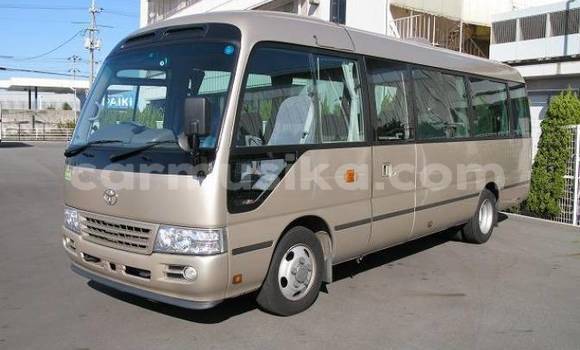 Acheter Occasion Voiture Toyota Coaster Marron à Beitbridge, Matabeleland South Acheter Occasion Voiture Toyota Coaster Marron à Beitbridge, Matabeleland South
