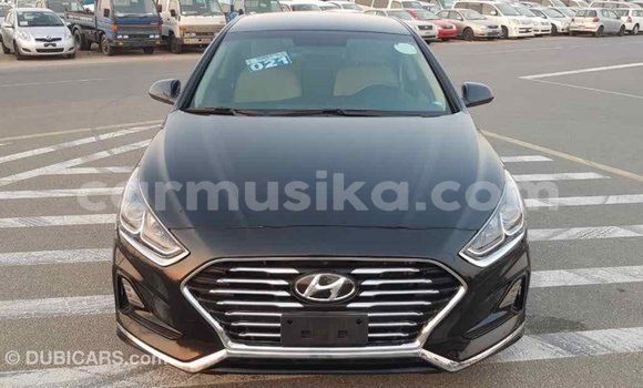 Tenga Imported Hyundai Sonata Nhema Mota in Import - Dubai in Harare Tenga Imported Hyundai Sonata Nhema Mota in Import - Dubai in Harare