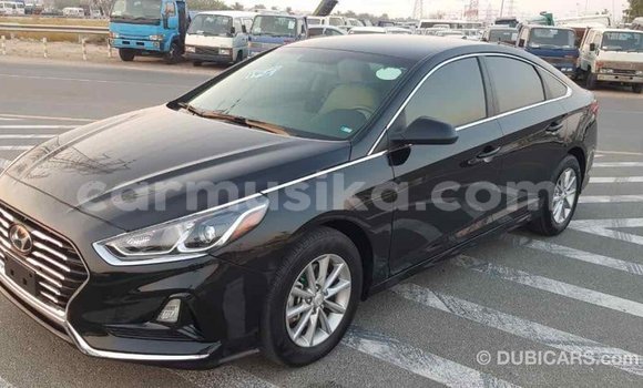 Tenga Imported Hyundai Sonata Nhema Mota in Import - Dubai in Harare Tenga Imported Hyundai Sonata Nhema Mota in Import - Dubai in Harare