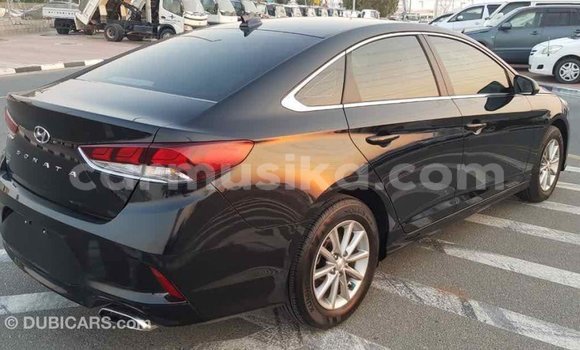 Tenga Imported Hyundai Sonata Nhema Mota in Import - Dubai in Harare Tenga Imported Hyundai Sonata Nhema Mota in Import - Dubai in Harare