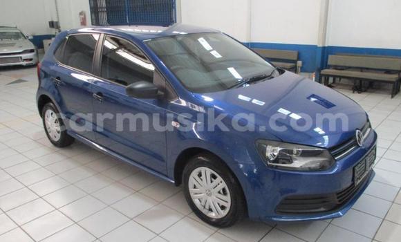 Tenga Tsaru Volkswagen Polo Bhuruu Mota in Beitbridge in Matabeleland South