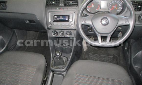 Tenga Tsaru Volkswagen Polo Bhuruu Mota in Beitbridge in Matabeleland South Tenga Tsaru Volkswagen Polo Bhuruu Mota in Beitbridge in Matabeleland South