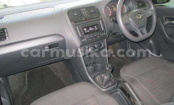 Tenga Tsaru Volkswagen Polo Bhuruu Mota in Beitbridge in Matabeleland South Tenga Tsaru Volkswagen Polo Bhuruu Mota in Beitbridge in Matabeleland South