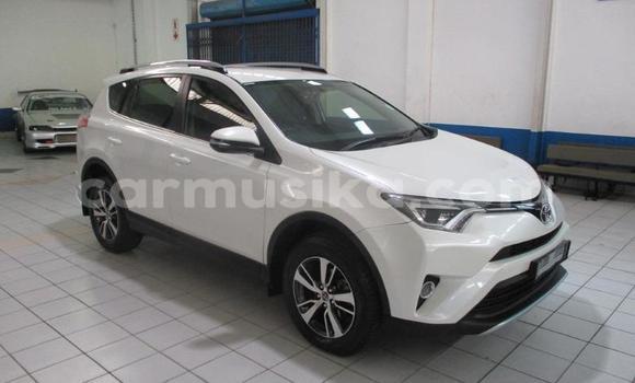 Buy Used Toyota RAV4 White Car in Beitbridge in Matabeleland South