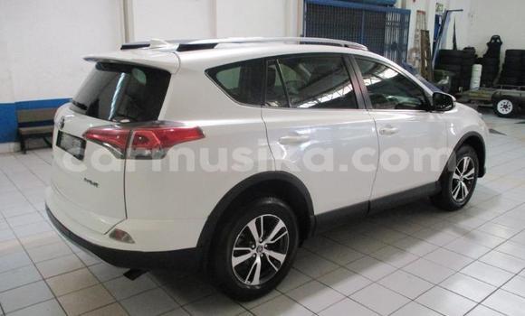 Tenga Tsaru Toyota RAV4 Chena Mota in Beitbridge in Matabeleland South Tenga Tsaru Toyota RAV4 Chena Mota in Beitbridge in Matabeleland South