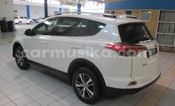 Tenga Tsaru Toyota RAV4 Chena Mota in Beitbridge in Matabeleland South Tenga Tsaru Toyota RAV4 Chena Mota in Beitbridge in Matabeleland South