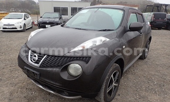 Buy Import Nissan Juke Black Car in Harare in Harare Buy Import Nissan Juke Black Car in Harare in Harare