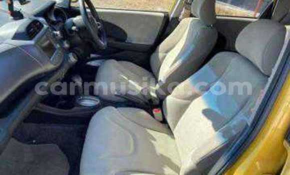 Tenga Tsaru Honda Fit Zvimwe Mota in Beitbridge in Matabeleland South Tenga Tsaru Honda Fit Zvimwe Mota in Beitbridge in Matabeleland South