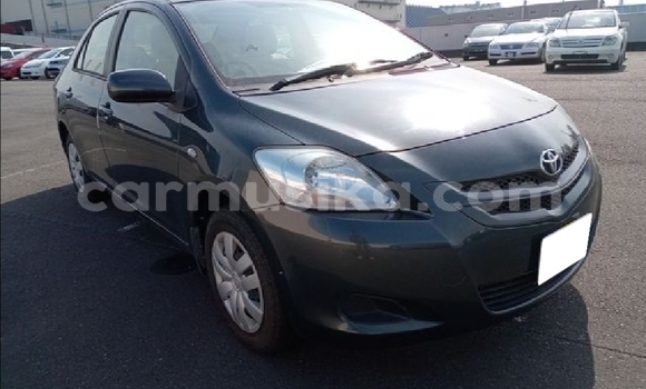 Acheter Occasion Voiture Toyota Belta Beige à Beitbridge, Matabeleland South Acheter Occasion Voiture Toyota Belta Beige à Beitbridge, Matabeleland South
