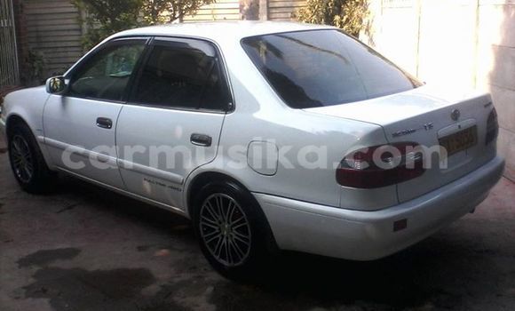 Buy Used Toyota Corolla White Car in Alexandra Park in Harare Buy Used Toyota Corolla White Car in Alexandra Park in Harare