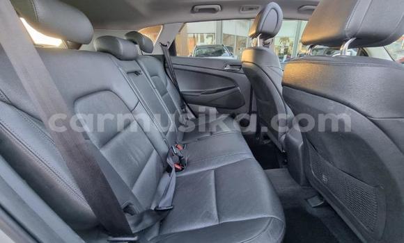 Acheter Occasion Voiture Hyundai Tucson Gris à Beitbridge, Matabeleland South Acheter Occasion Voiture Hyundai Tucson Gris à Beitbridge, Matabeleland South