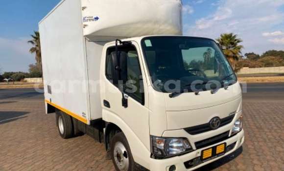 Buy Used Toyota Dyna White Truck in Beitbridge in Matabeleland South