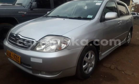 Tenga Tsaru Toyota Runx Sirivha Mota in Alexandra Park in Harare Tenga Tsaru Toyota Runx Sirivha Mota in Alexandra Park in Harare