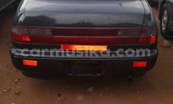 Tenga Tsaru Toyota Corona Nhema Mota in Alexandra Park in Harare Tenga Tsaru Toyota Corona Nhema Mota in Alexandra Park in Harare