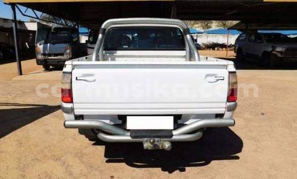 Buy Used Isuzu KB White Car in Beitbridge in Matabeleland South Buy Used Isuzu KB White Car in Beitbridge in Matabeleland South