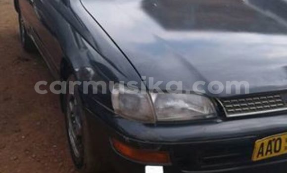 Tenga Tsaru Toyota Corona Nhema Mota in Alexandra Park in Harare Tenga Tsaru Toyota Corona Nhema Mota in Alexandra Park in Harare