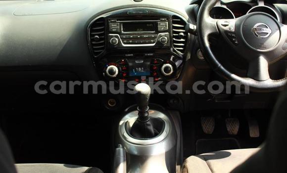 Buy Used Nissan Juke Blue Car in Beitbridge in Matabeleland South Buy Used Nissan Juke Blue Car in Beitbridge in Matabeleland South