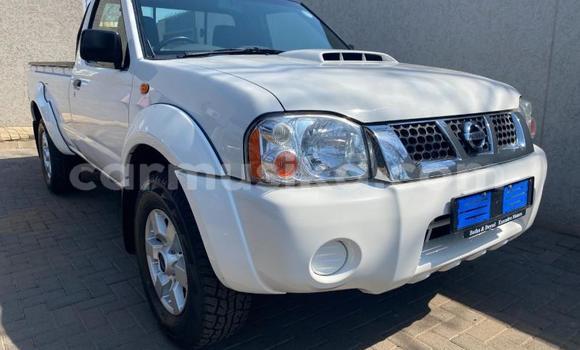 Nunua Ilio tumika Nissan NP 300 Nyeupe Gari ndani ya Beitbridge nchini Matabeleland Kusini