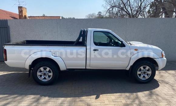 Buy Used Nissan NP 300 White Car in Beitbridge in Matabeleland South Buy Used Nissan NP 300 White Car in Beitbridge in Matabeleland South