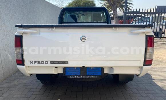 Buy Used Nissan NP 300 White Car in Beitbridge in Matabeleland South Buy Used Nissan NP 300 White Car in Beitbridge in Matabeleland South