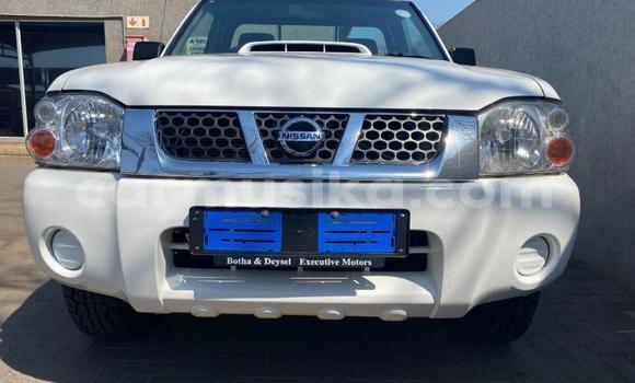 Buy Used Nissan NP 300 White Car in Beitbridge in Matabeleland South Buy Used Nissan NP 300 White Car in Beitbridge in Matabeleland South