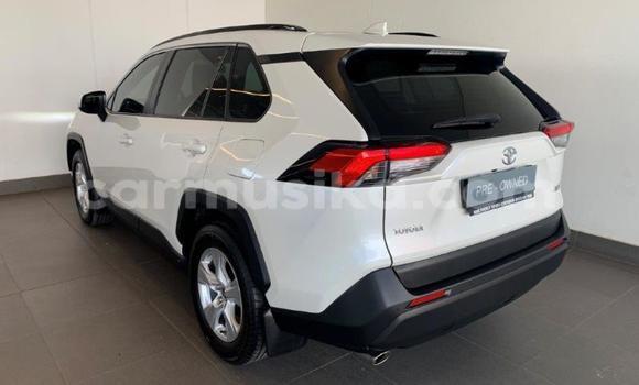 Nunua Ilio tumika Toyota RAV4 Nyeupe Gari ndani ya Beitbridge nchini Matabeleland Kusini Nunua Ilio tumika Toyota RAV4 Nyeupe Gari ndani ya Beitbridge nchini Matabeleland Kusini