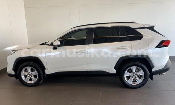 Nunua Ilio tumika Toyota RAV4 Nyeupe Gari ndani ya Beitbridge nchini Matabeleland Kusini Nunua Ilio tumika Toyota RAV4 Nyeupe Gari ndani ya Beitbridge nchini Matabeleland Kusini