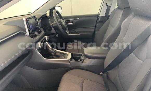 Nunua Ilio tumika Toyota RAV4 Nyeupe Gari ndani ya Beitbridge nchini Matabeleland Kusini Nunua Ilio tumika Toyota RAV4 Nyeupe Gari ndani ya Beitbridge nchini Matabeleland Kusini