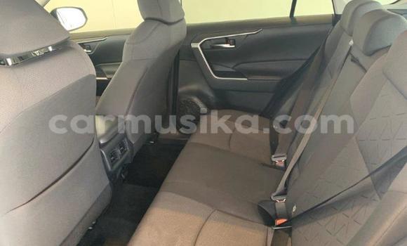 Nunua Ilio tumika Toyota RAV4 Nyeupe Gari ndani ya Beitbridge nchini Matabeleland Kusini Nunua Ilio tumika Toyota RAV4 Nyeupe Gari ndani ya Beitbridge nchini Matabeleland Kusini