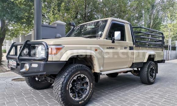 Acheter Occasion Voiture Toyota Land Cruiser Autre à Beitbridge, Matabeleland South