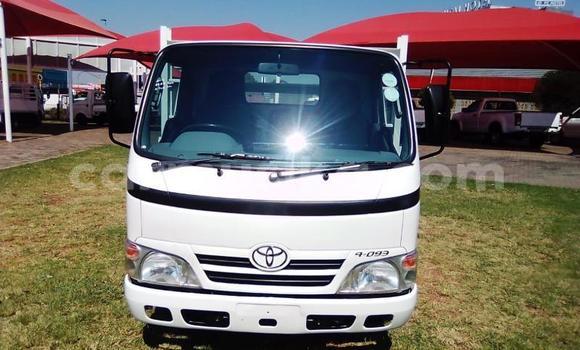 Tenga Tsaru Toyota Dyna Chena Mota in Beitbridge in Matabeleland South
