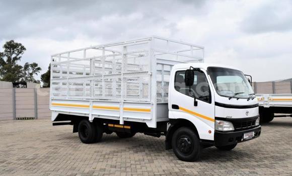 Tenga Tsaru Toyota Dyna Chena Mota in Beitbridge in Matabeleland South