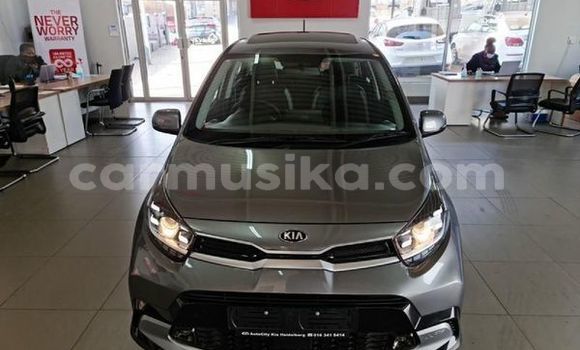 Acheter Occasion Voiture Kia Picanto Gris à Beitbridge, Matabeleland South Acheter Occasion Voiture Kia Picanto Gris à Beitbridge, Matabeleland South