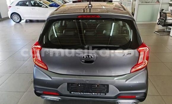 Acheter Occasion Voiture Kia Picanto Gris à Beitbridge, Matabeleland South Acheter Occasion Voiture Kia Picanto Gris à Beitbridge, Matabeleland South