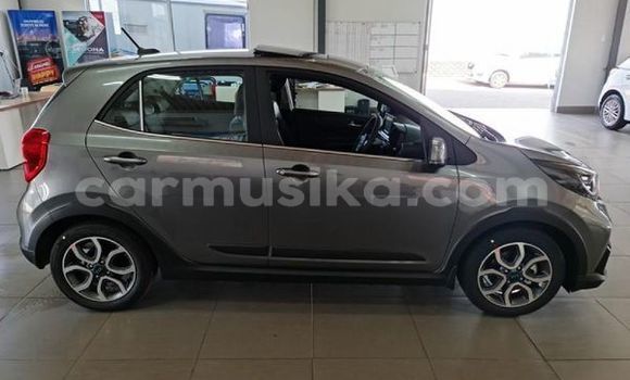 Acheter Occasion Voiture Kia Picanto Gris à Beitbridge, Matabeleland South Acheter Occasion Voiture Kia Picanto Gris à Beitbridge, Matabeleland South