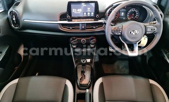 Acheter Occasion Voiture Kia Picanto Gris à Beitbridge, Matabeleland South Acheter Occasion Voiture Kia Picanto Gris à Beitbridge, Matabeleland South