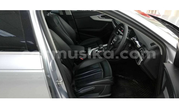 Tenga Tsaru Audi A4 Sirivha Mota in Beitbridge in Matabeleland South Tenga Tsaru Audi A4 Sirivha Mota in Beitbridge in Matabeleland South