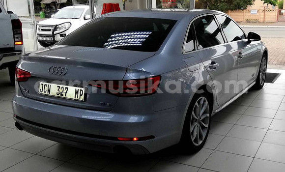 Tenga Tsaru Audi A4 Sirivha Mota in Beitbridge in Matabeleland South Tenga Tsaru Audi A4 Sirivha Mota in Beitbridge in Matabeleland South